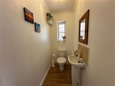 Picture 14